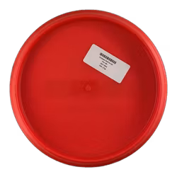 Compass Gold Ice (6)