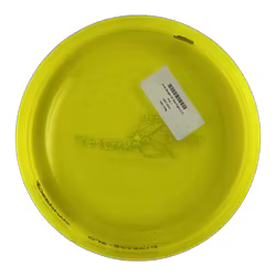 Zone Banger GT Test Flight Z (7)