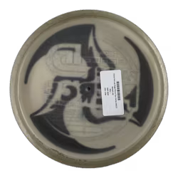 Fierce Huk Lab Paige Pierce Tour Series 2021 Z Metallic (6)