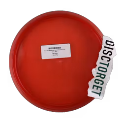 Zone Paul McBeth 5x World Champion Z (7)