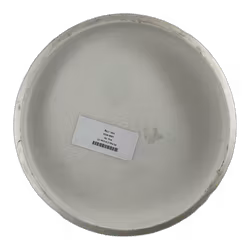 P2 Flex 2 D-Line (7)