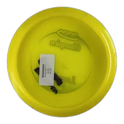 Leopard3 Champion (7)