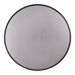 Entropy Electron Firm (6)