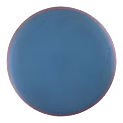 Proxy Electron Firm (7)