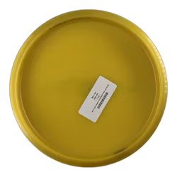 Buzzz Ten Year Ledgestone edition Elite Z (8)