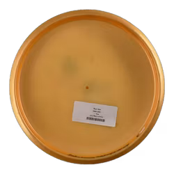 Luna Lil Z Big Z (7)