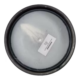 Slammer Sockibomb Classic Supreme (7)