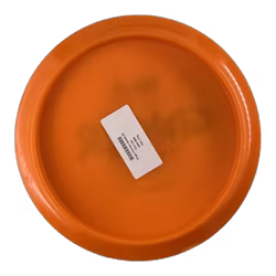 Ginger First Run Steady (8)