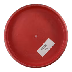 Dagger Zero Hard (6)