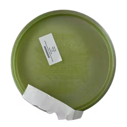 Firefly Joona Heinänen Team Series Champion Moondust (8)