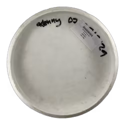 P2 Flex 2 D-Line (6)