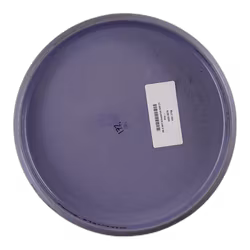 PX-3 Will Schusterick 500 (7)