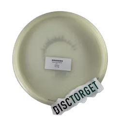 Göte K1 Glow 2023 (8)