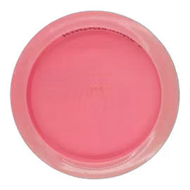 Xcaliber Nate Sexton 2017 USDGC Champion Star (8)