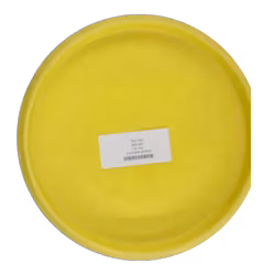 Shield BT Medium (7)