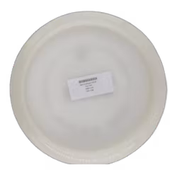 Bear Prototype VIP (9)