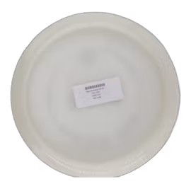 Bear Prototype VIP (9)