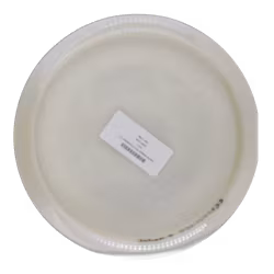 Hatchet MattyO VIP X Chameleon (7)