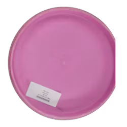 Dagger Zero Medium (7)