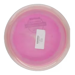 Brave Project Grip (8)