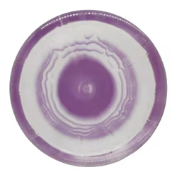 Grace Kristin Tattar 2023 World Champion Grand Orbit (7)