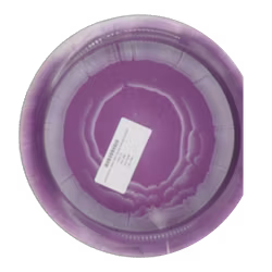 Grace Kristin Tattar 2023 World Champion Grand Orbit (7)