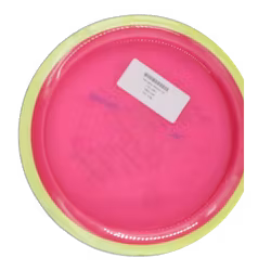 Time-Lapse Neutron (7)