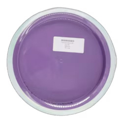 Time-Lapse Neutron (8)