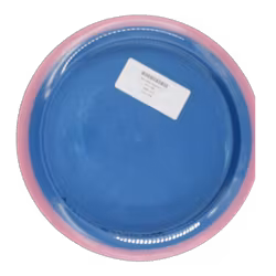 Time-Lapse Neutron (7)