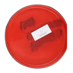 Theory Patent Pending Neutron (8)