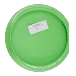 Lots Joseph Anderson Tour Series K1 Hard (7)