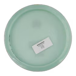 Idog First Run K1 (6)