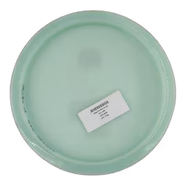 Idog First Run K1 (6)