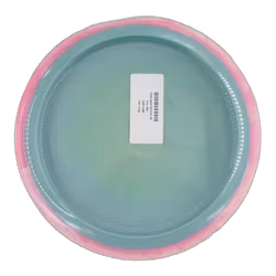 Time-Lapse Neutron (9)