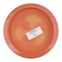 Zeta´s Moon Colten Montgomery Signature Series (CD1) Swirl S-line (9)