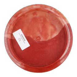 Roman Metal Flake Glow C-Blend (8)