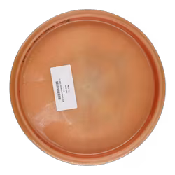 M3 ¨Cameron Colglazier 500 (7)