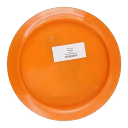 Wild Honey Steady (9)