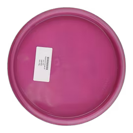 Peppermint Steady (9)