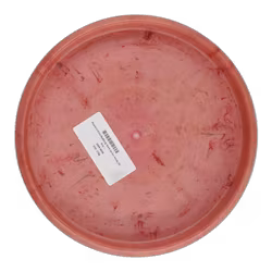 Popcorn Elina Rydberg Team Series Hardy (9)