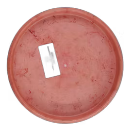 Popcorn Elina Rydberg Team Series Hardy (9)