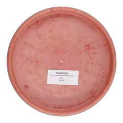 Popcorn Elina Rydberg Team Series Hardy (9)