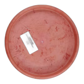 Popcorn Elina Rydberg Team Series Hardy (9)