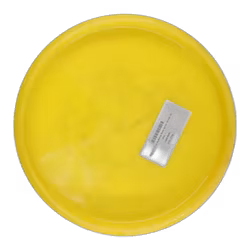 Popcorn Elina Rydberg Team Series Steady (9)