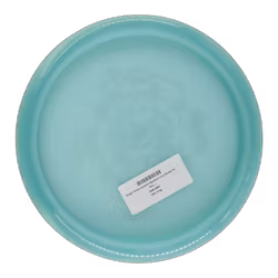 Ginger Nikko Locastro Signature Line Steady (9)