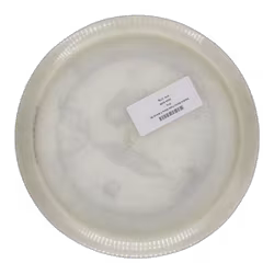 Exodus Metal Flake Glow C-Blend (8)