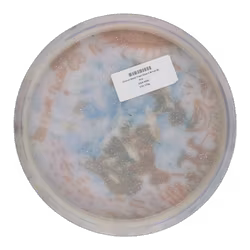 Chariot Metal Flake Glow C-Blend (8)