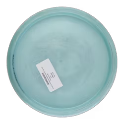 Verdict Chris Clemons 2020 Team Series Lucid X Chameleon (8)