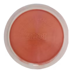 Bear VIP Ice Orbit (8)