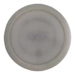 Bear Prototype VIP (8)